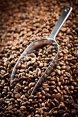 Image showing metal scoop with coffee beans