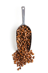 Image showing metal scoop with coffee beans