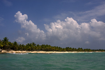 Image showing ocean coastline  palm and tree in dominicana