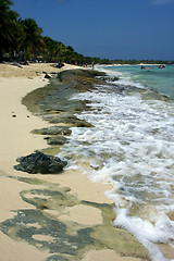 Image showing  ocean in  republica dominicana