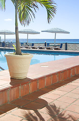 Image showing swimming pool Caribbean Sea Barbados