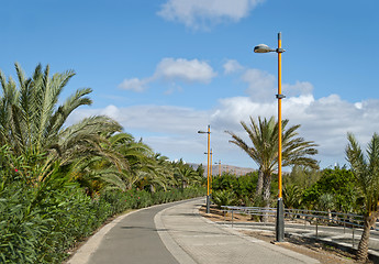 Image showing Fuerteventura