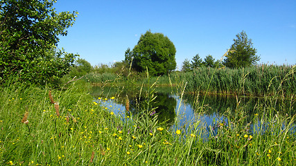 Image showing Picturesque lake