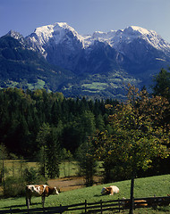 Image showing Bavarian Scenery