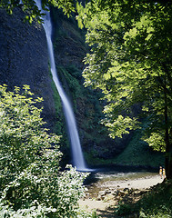 Image showing Latourell Falls