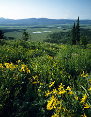 Image showing Jackson Hole