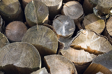 Image showing Logs