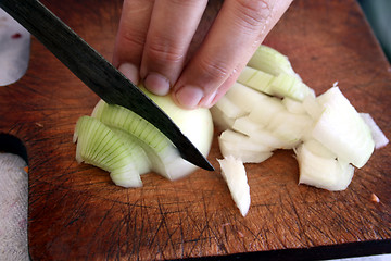 Image showing Cutting of onions for salad