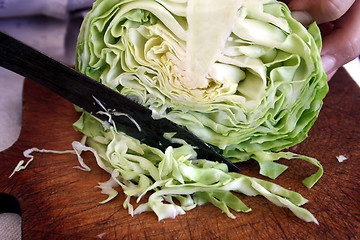 Image showing Cabbage for salad