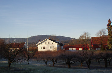 Image showing Farm