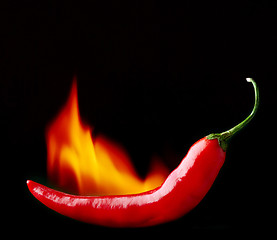 Image showing burning red chili pepper