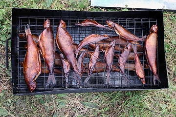 Image showing Fish smoked