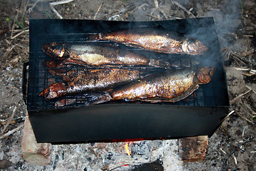 Image showing Fish a herring smoked