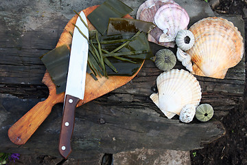 Image showing Laminaria - seaweed cut on pieces.