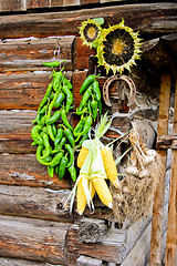 Image showing Vegetables on a house wall.