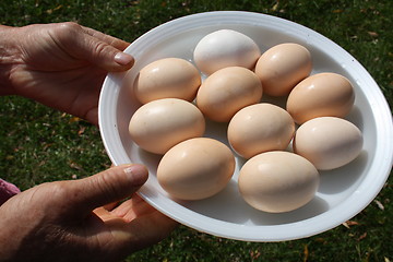 Image showing Eggs