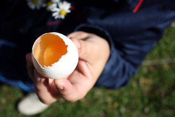 Image showing Crude egg