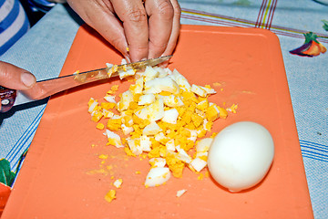 Image showing Cutting of the welded eggs