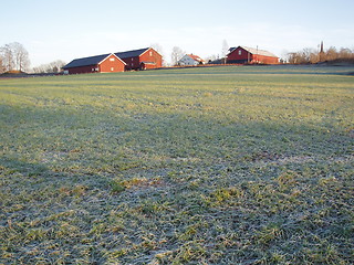 Image showing Farm