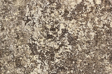 Image showing texture of old cement