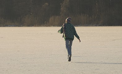 Image showing Skating