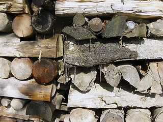 Image showing Logs