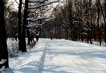 Image showing Road in winter