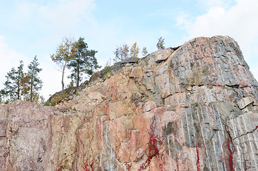 Image showing trees on a vertical rock 