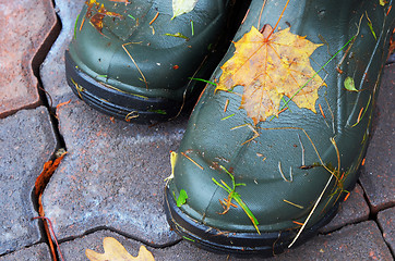 Image showing closeup of pai rubber boots with autumn leaves 
