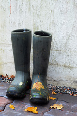 Image showing pair of rubber boots with autumn leaves 