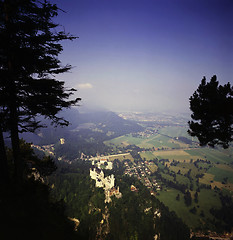 Image showing Castle Neuschwanstein in Bavaria