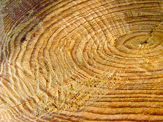 Image showing Wooden dark texture