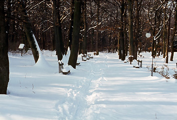 Image showing Winter in Park