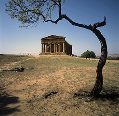 Image showing Greek Temple in Agrigento