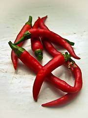 Image showing red ripe and burning decorative pepper