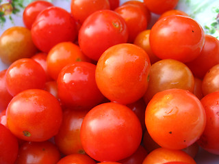 Image showing a lot of ripe and red small tomatos