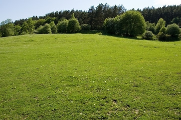 Image showing Field