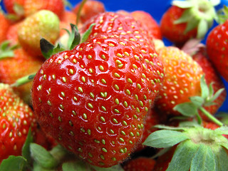 Image showing Fresh strawberries