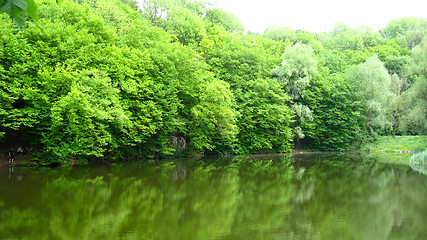 Image showing picturesque landscape with river in the forest