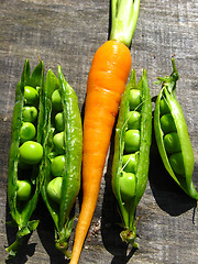 Image showing a lot of carrots