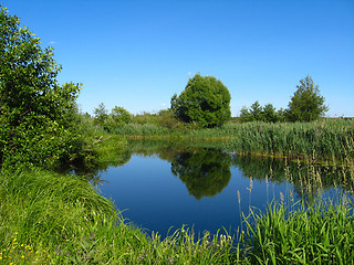 Image showing summer landscape with picturesque lake