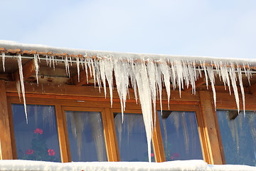 Image showing big icicles in a cold day