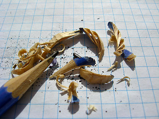 Image showing The grinded pencil and sawdust from it