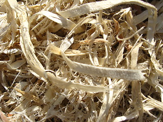 Image showing fresh sawdust