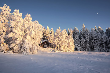 Image showing Winter Landscape