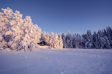 Image showing Winter Landscape