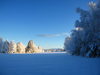 Image showing Winter Landscape