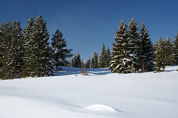 Image showing Beautiful winter landscape