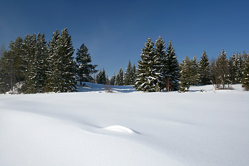 Image showing Beautiful winter landscape