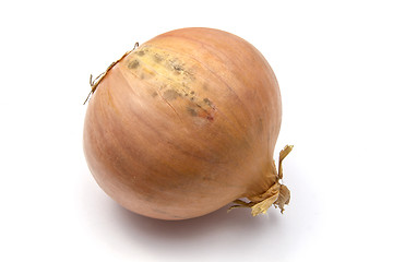 Image showing Onions